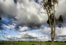 东升国际官网：记者：国米已续约皮奥-埃斯波西托至2030年，年薪略高于100万.