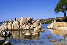 [拳击]WBA／WBO迷你轻量级世界拳王争霸赛：克拉佐VS卡诺.